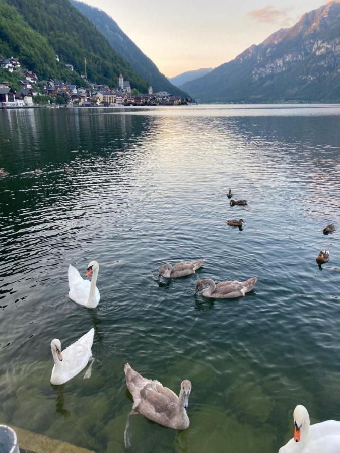 Hallstatt Lakeside Top 4 - Zimmer Mit Balkon Exterior foto